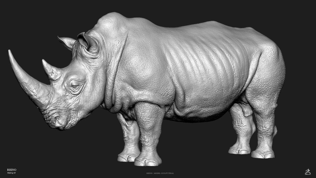 Rhinoceros 3d Фомин
