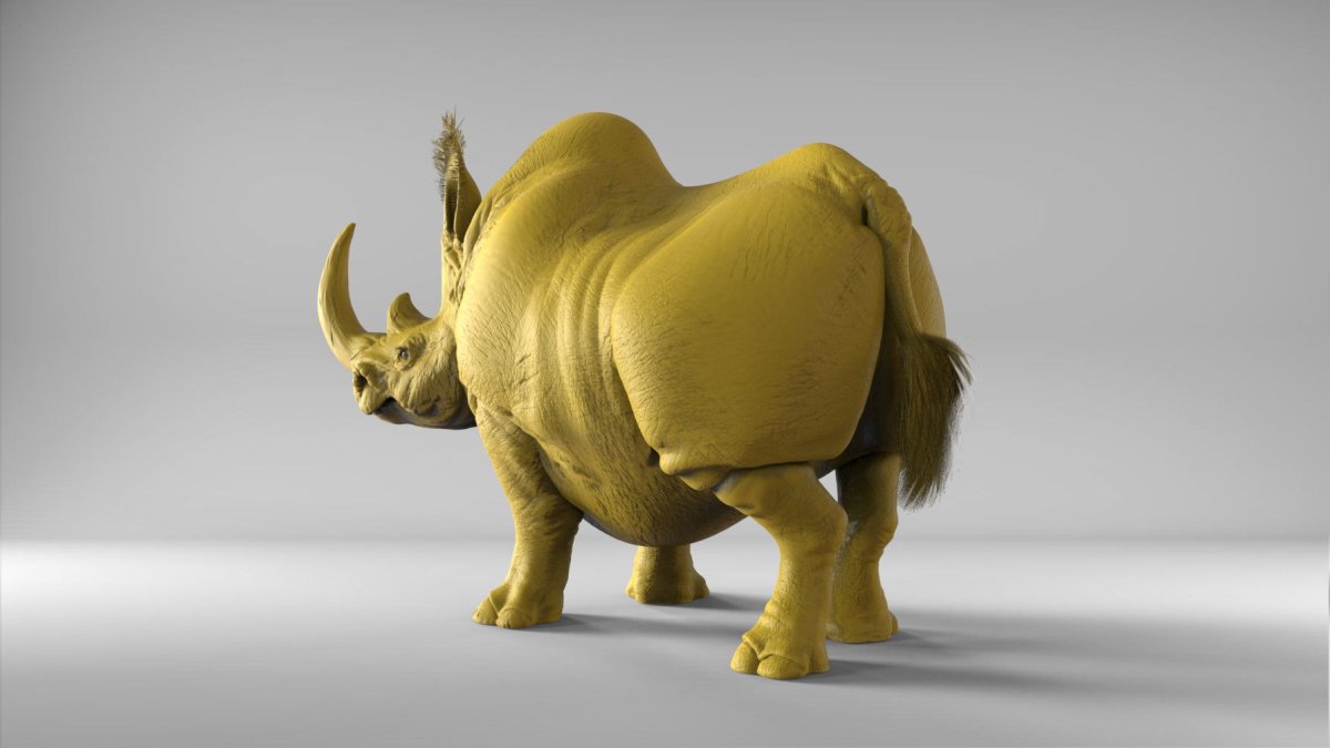 Rhinoceros ARTSTATION