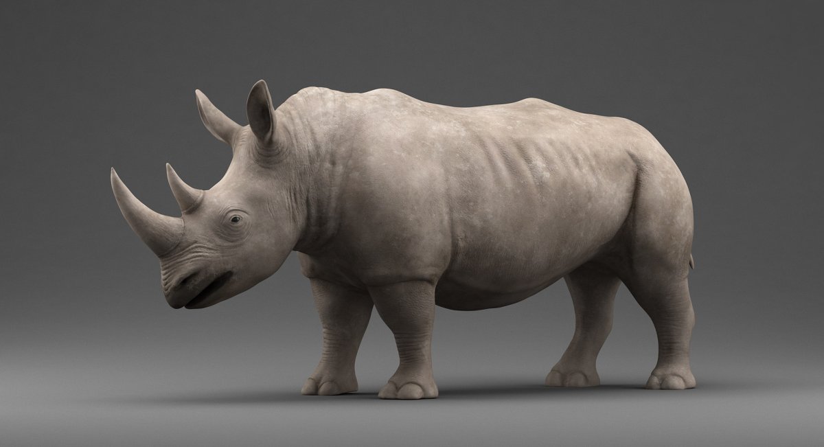 Rhinoceros 3d моделирование