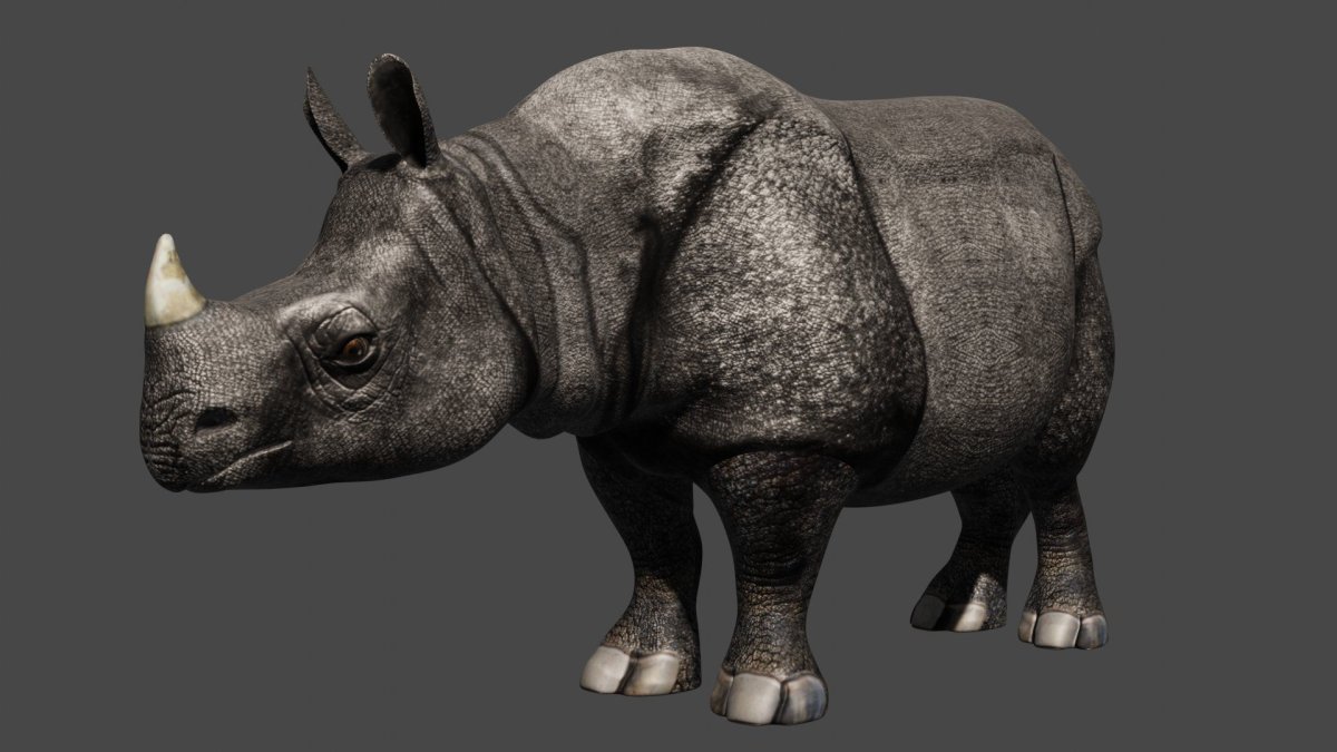 Rino 2020
