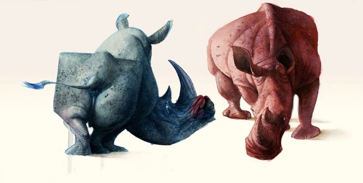 Animals stylization