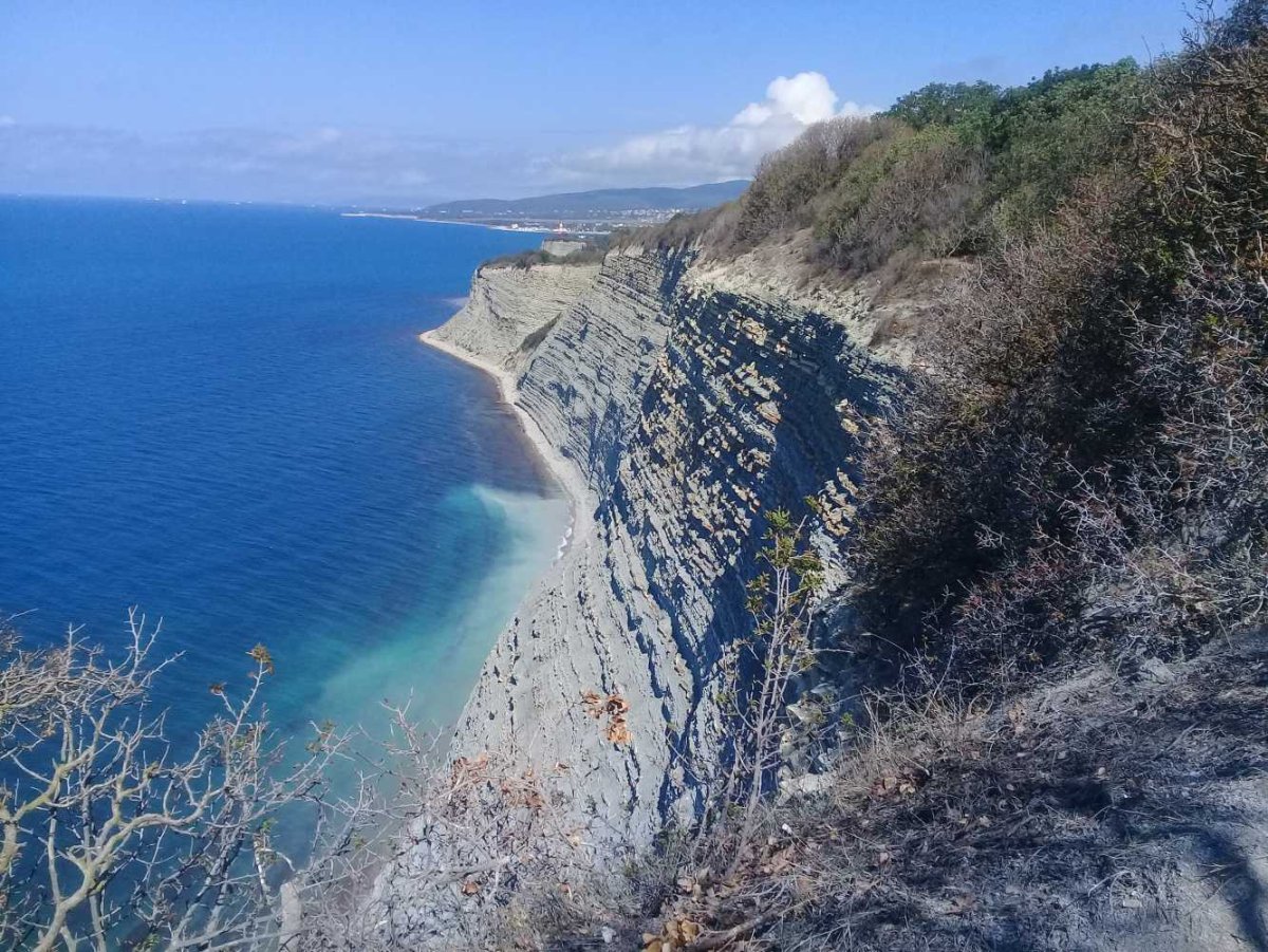 Бетта Краснодарский край