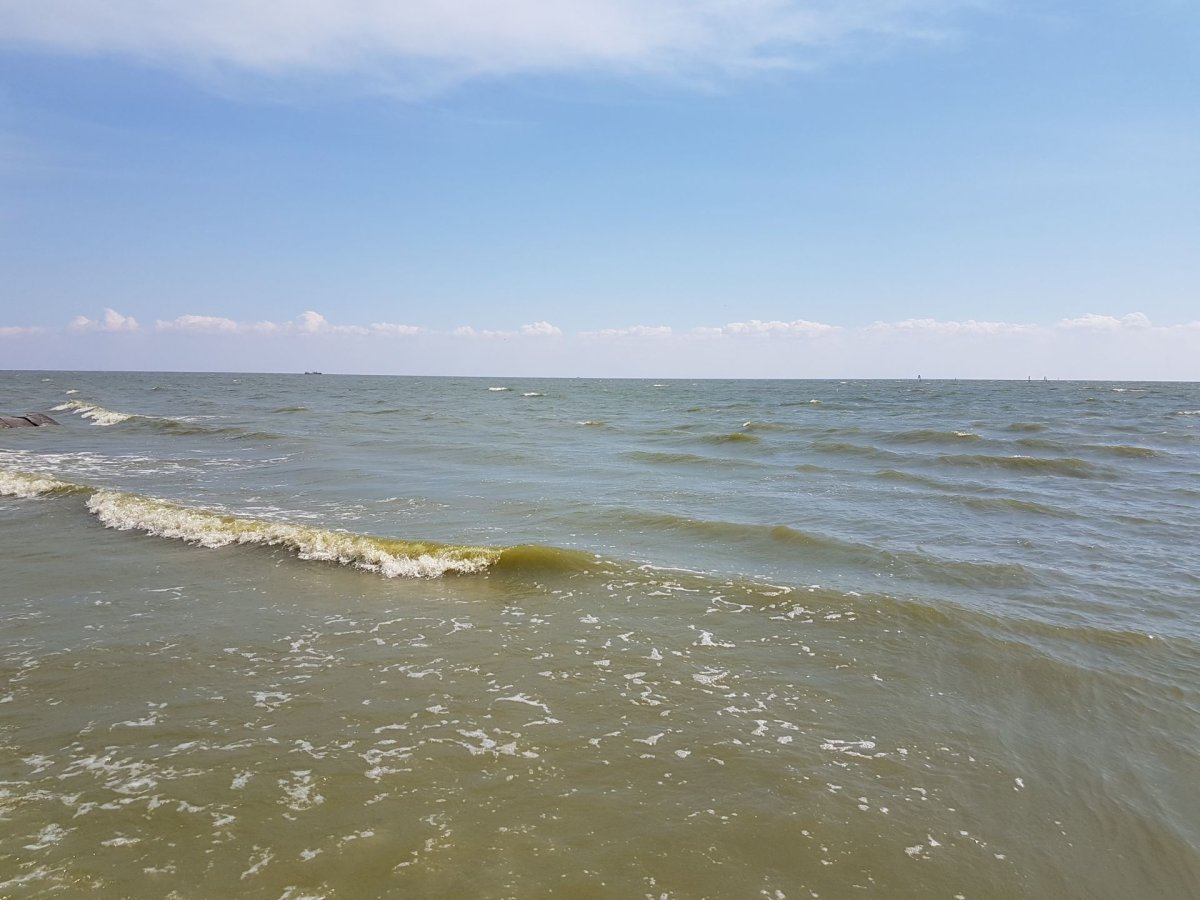 Цветение Азовского моря