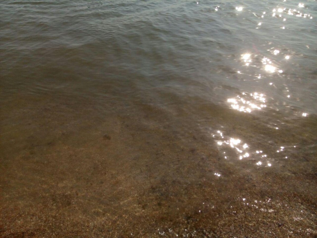 Чистое Азовское море