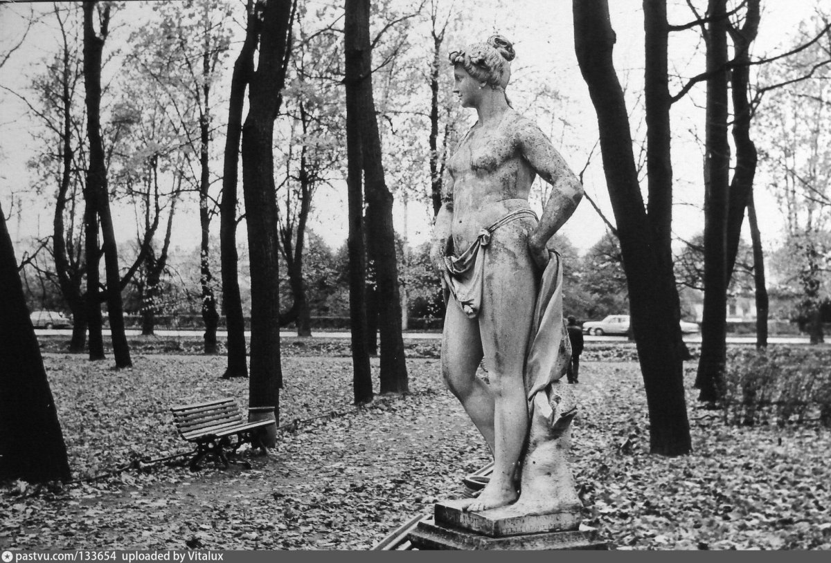 Летний сад. 1988 Г.
