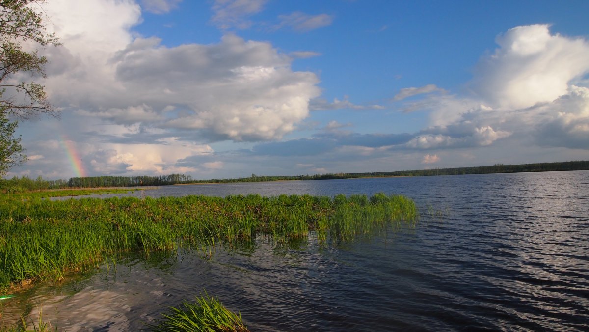 Поселок Туголесский Бор