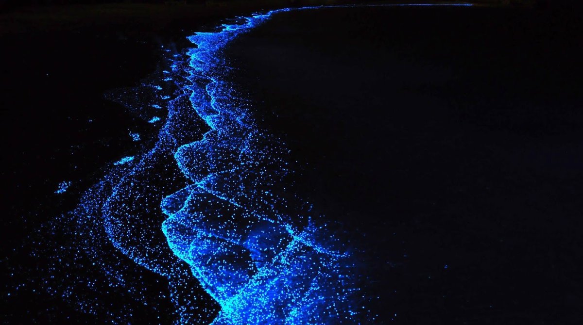 Остров Ваадху (Vaadhoo Island), Мальдивские острова