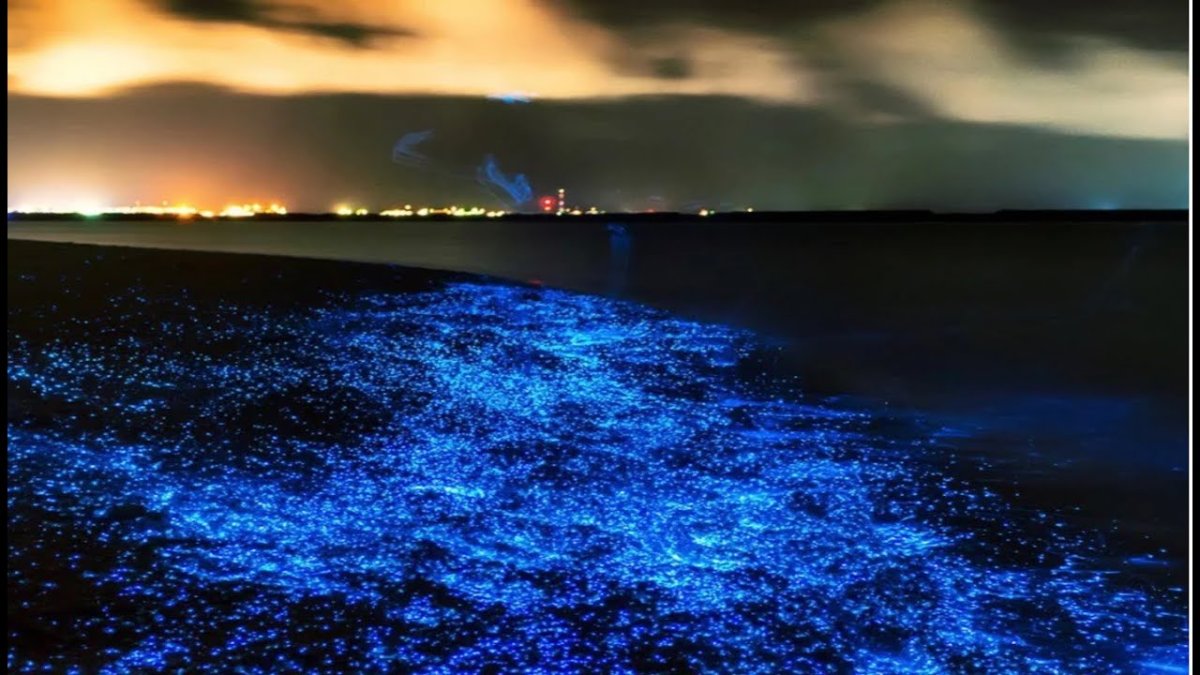 Остров Ваадху (Vaadhoo Island), Мальдивские острова