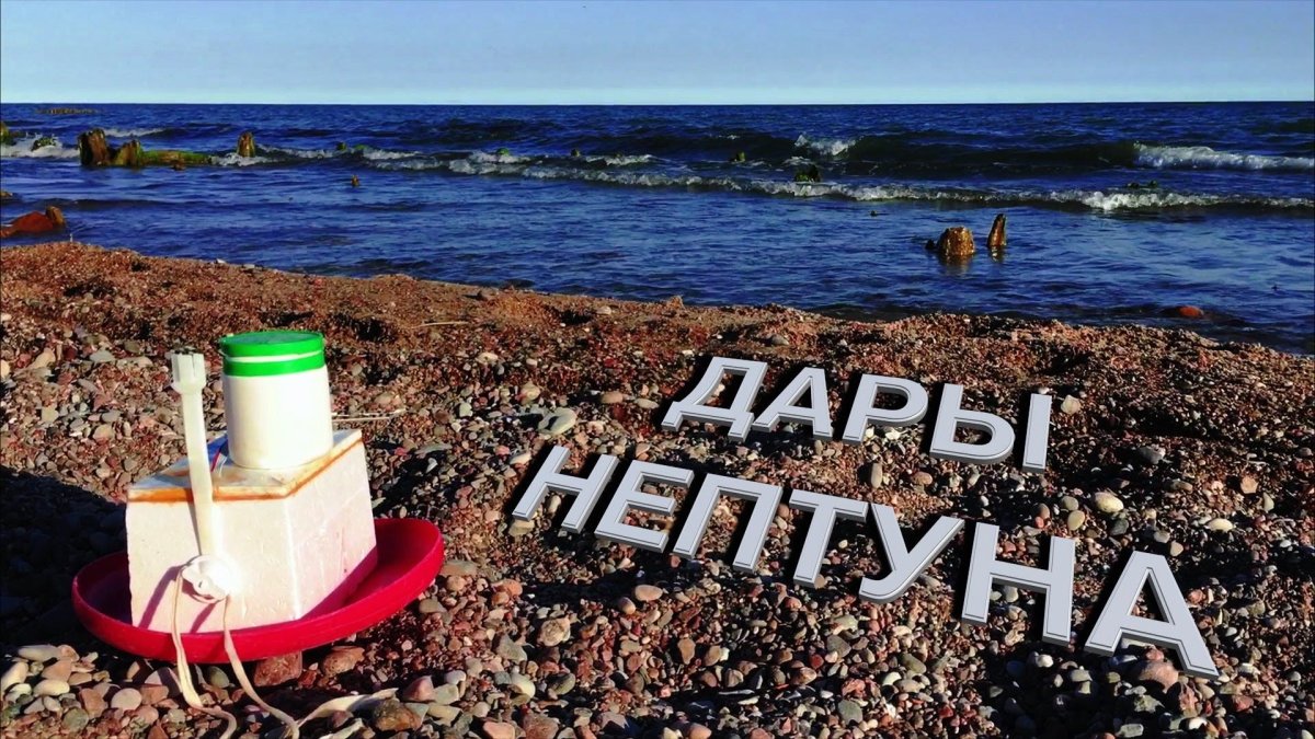 Дары Балтийского моря