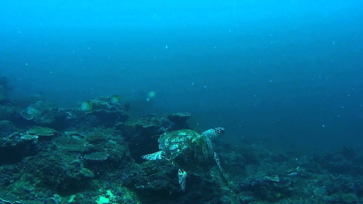 Дно Каспийского моря