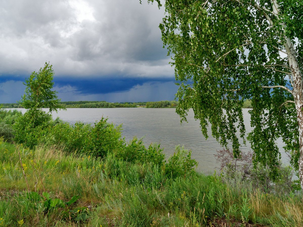 Река Иртыш Черлакский район