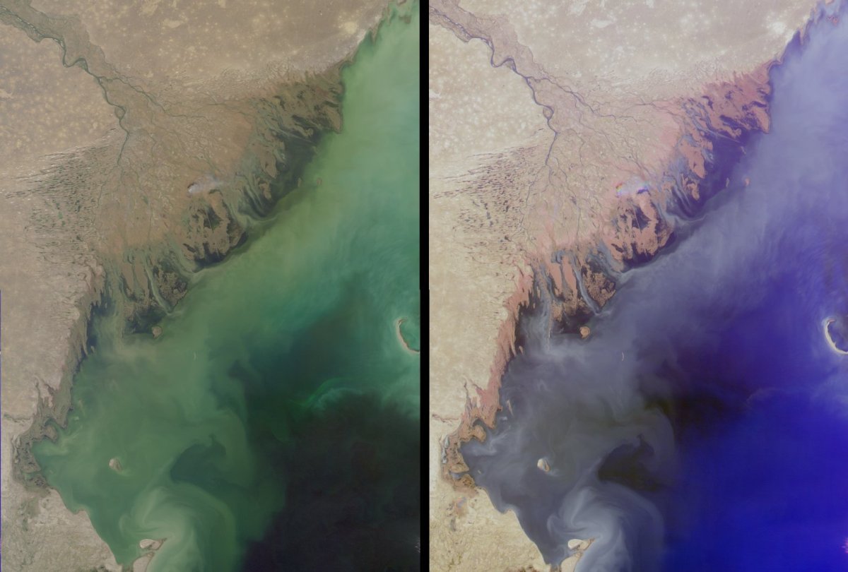 Дельта Каспийского моря