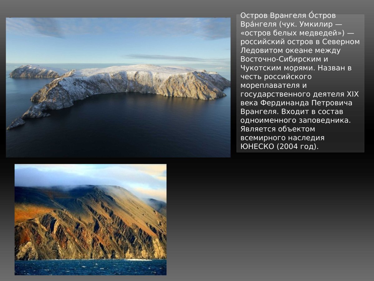 Остров Врангеля всемирное наследие
