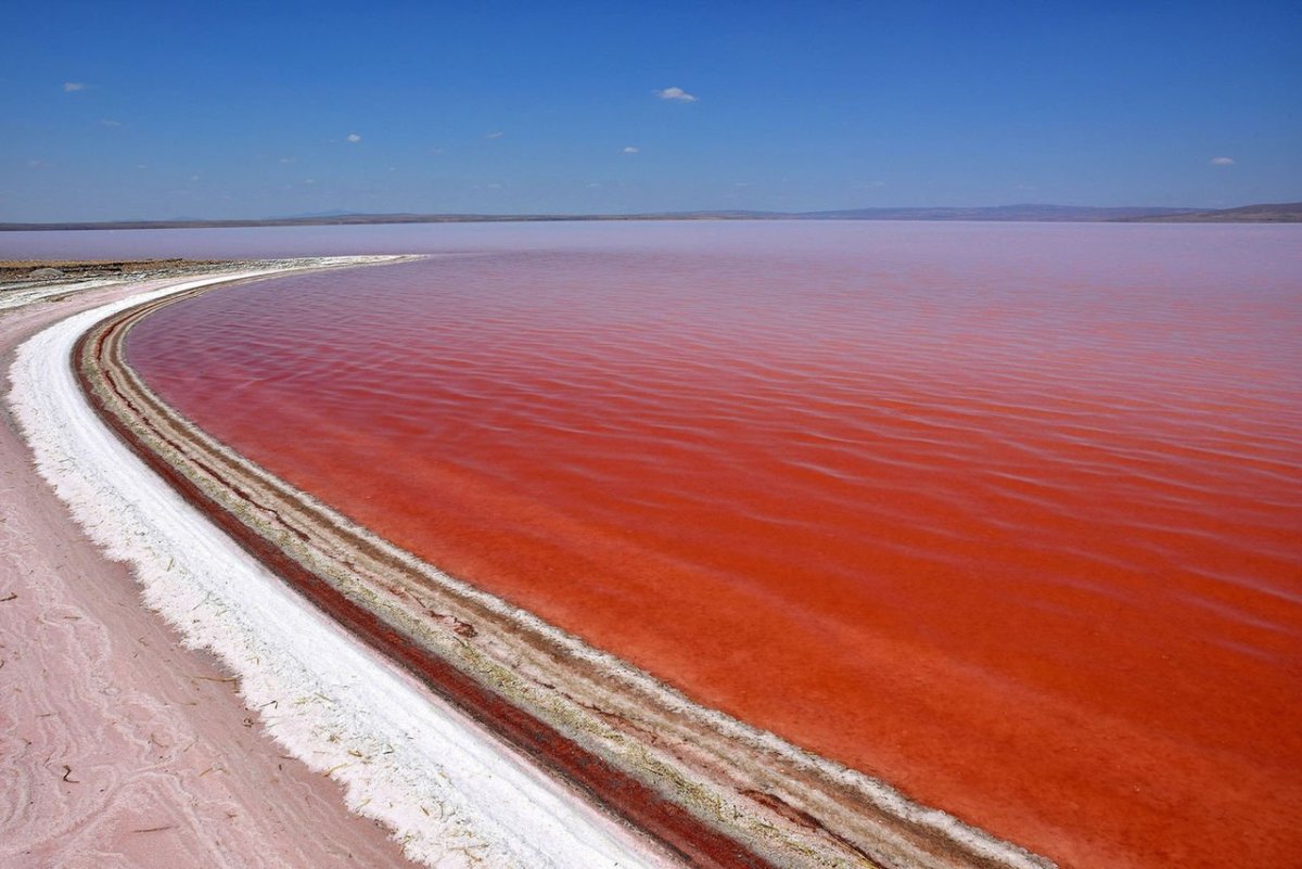 Dunaliella Salina озеро