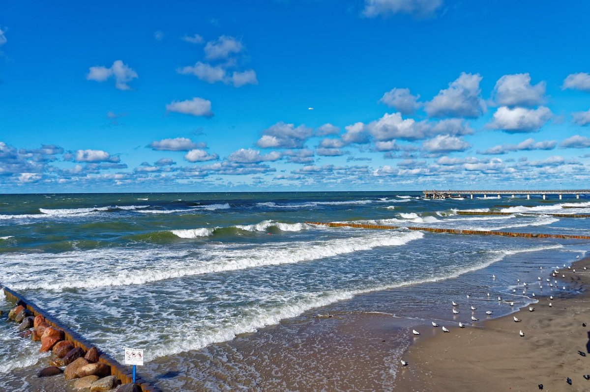 Балтийскте морк щклкнлградск