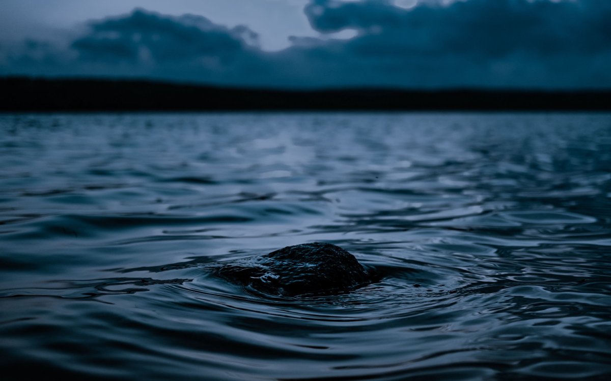 Черная вода