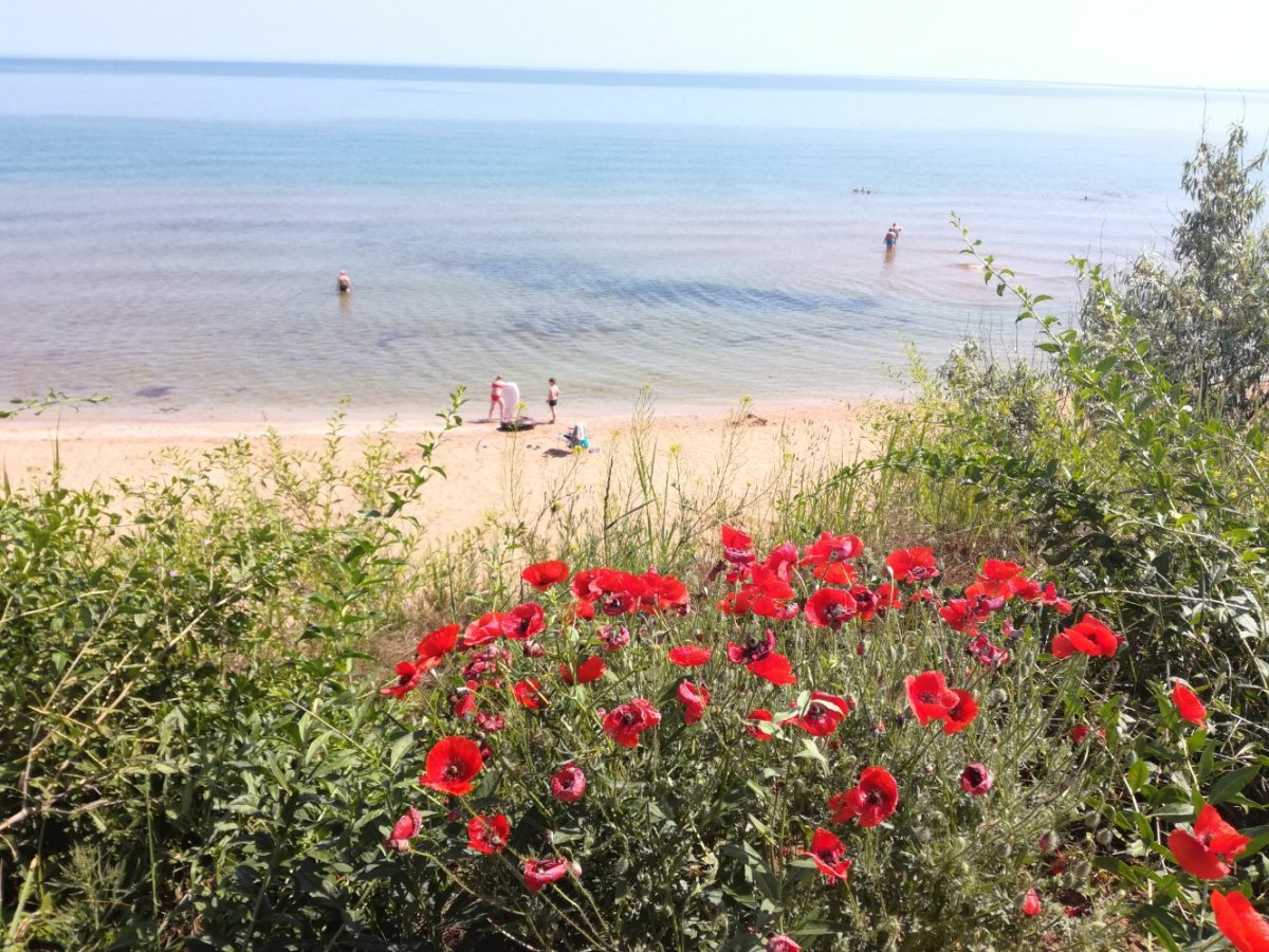 Чёрное море Кучугуры