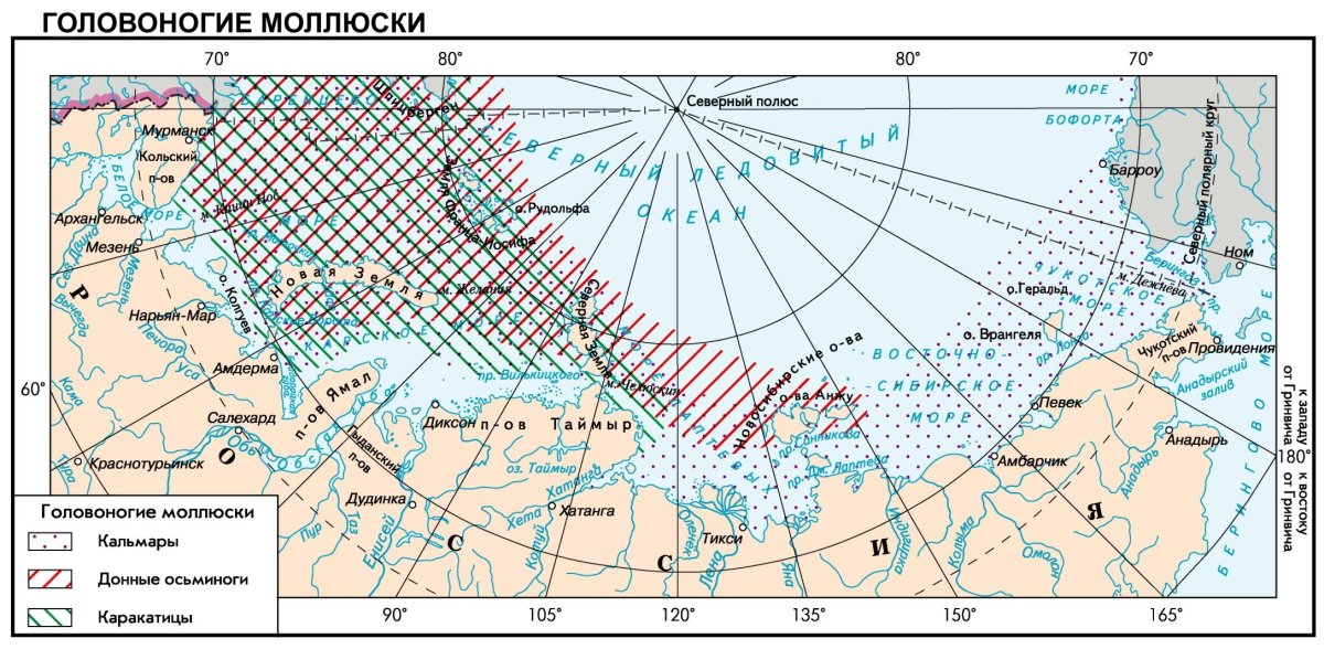 Моря российского сектора Арктики