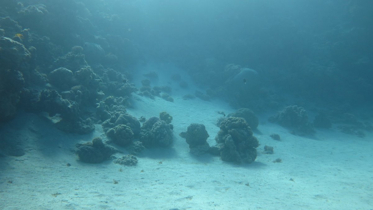 Черное море снимок дна