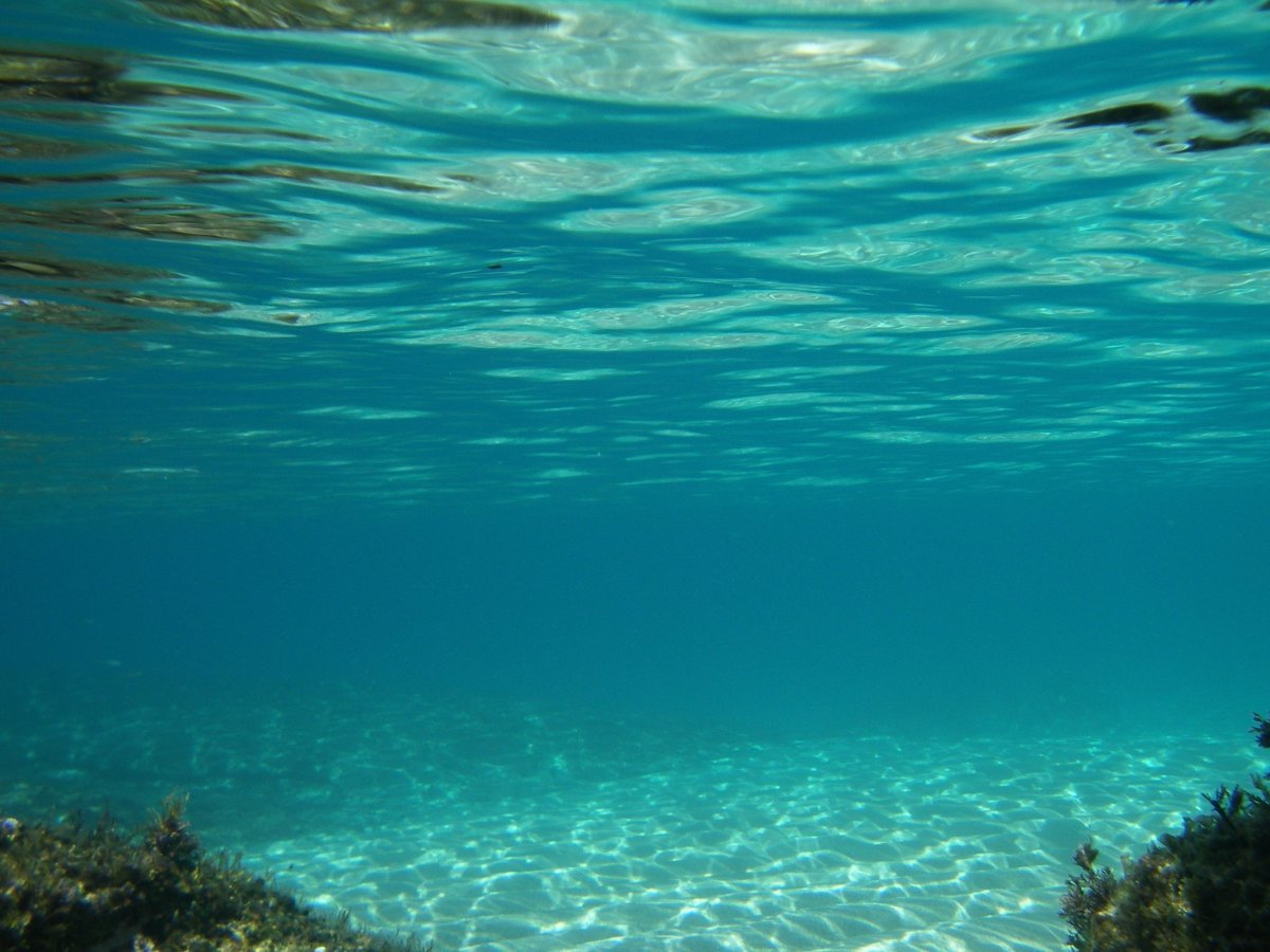 Морское дно