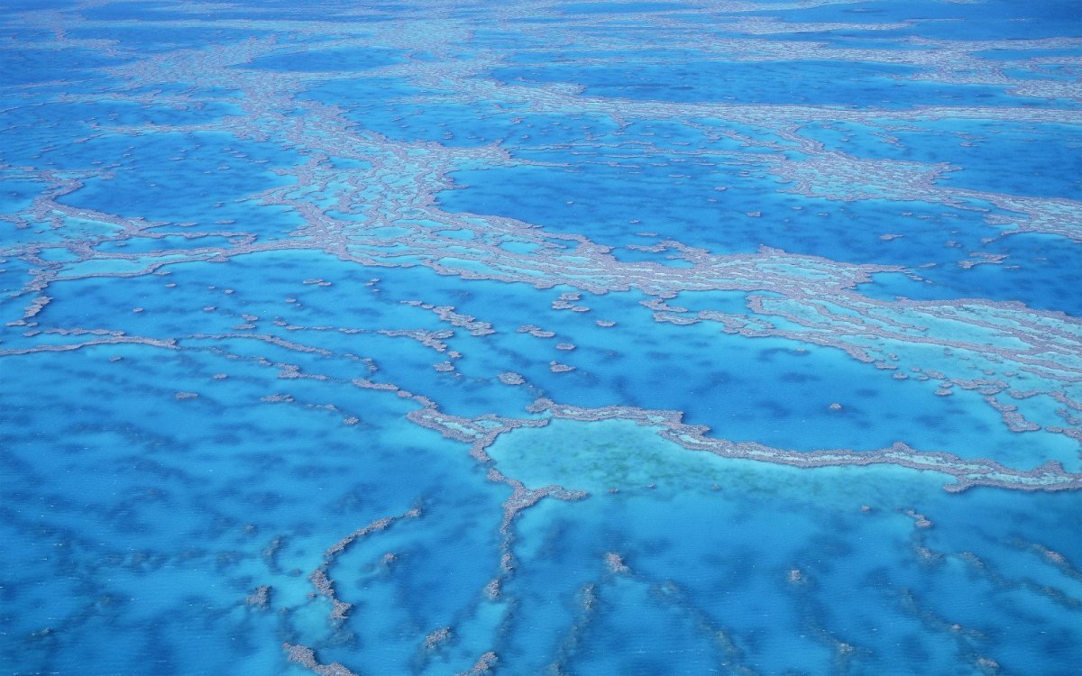 Саргассово море вода