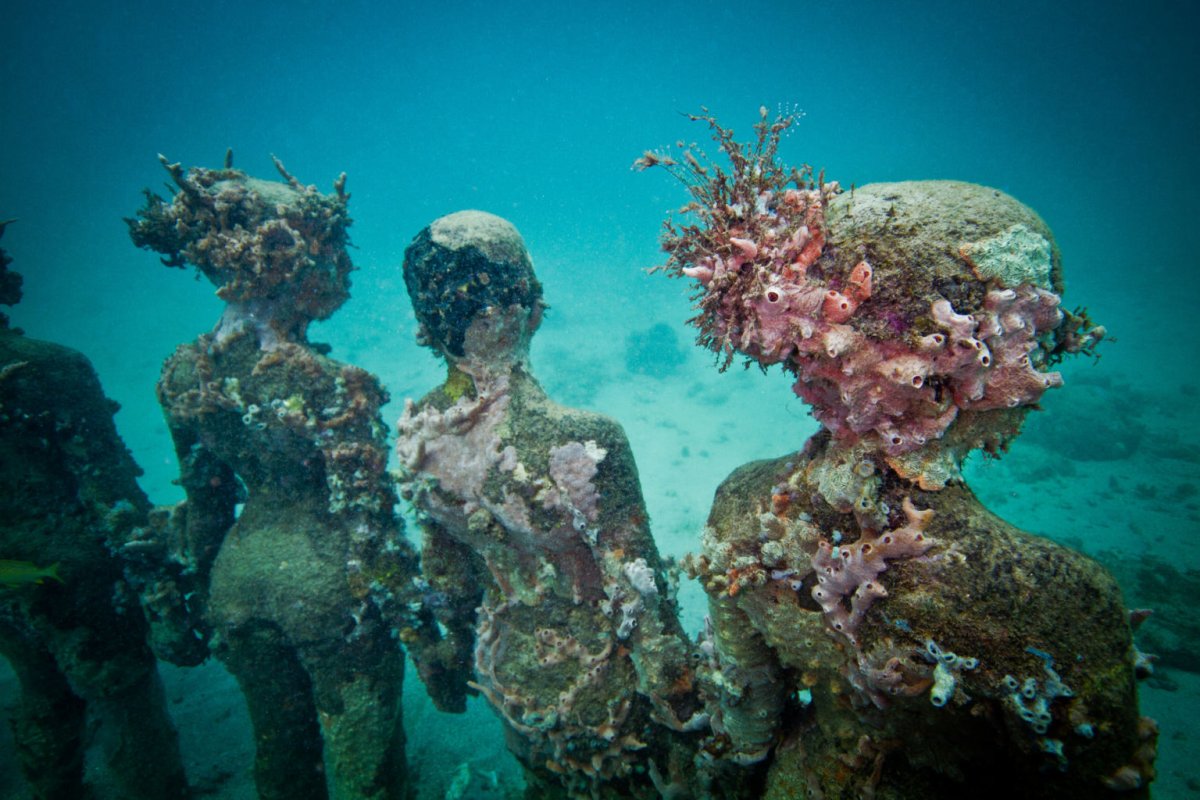 Jason DECAIRES, «Taylor Coral Greenhouse» скульптуры