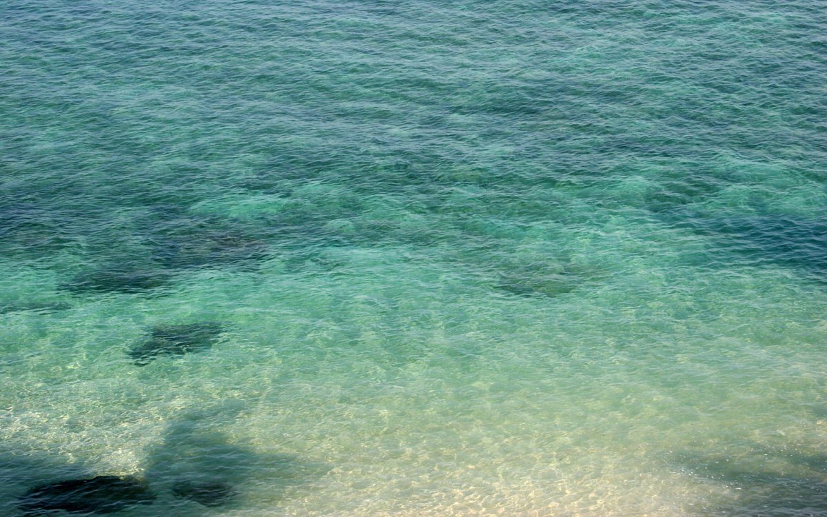 Зеленая вода в море