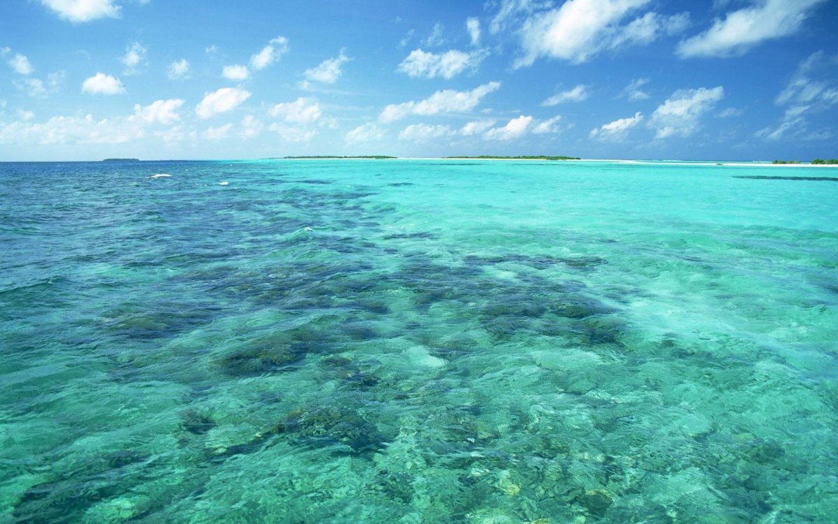 Голубое прозрачное море