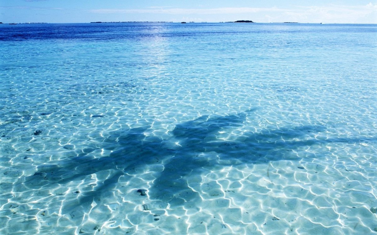 Лазурь черного моря
