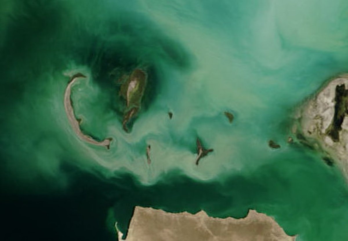 Остров Кулалы Каспийское море на карте