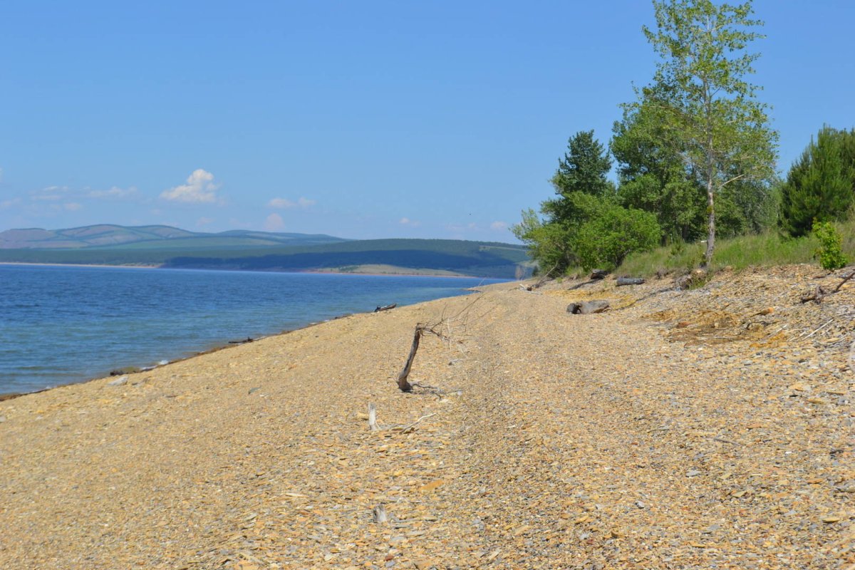 Анаш Красноярское море