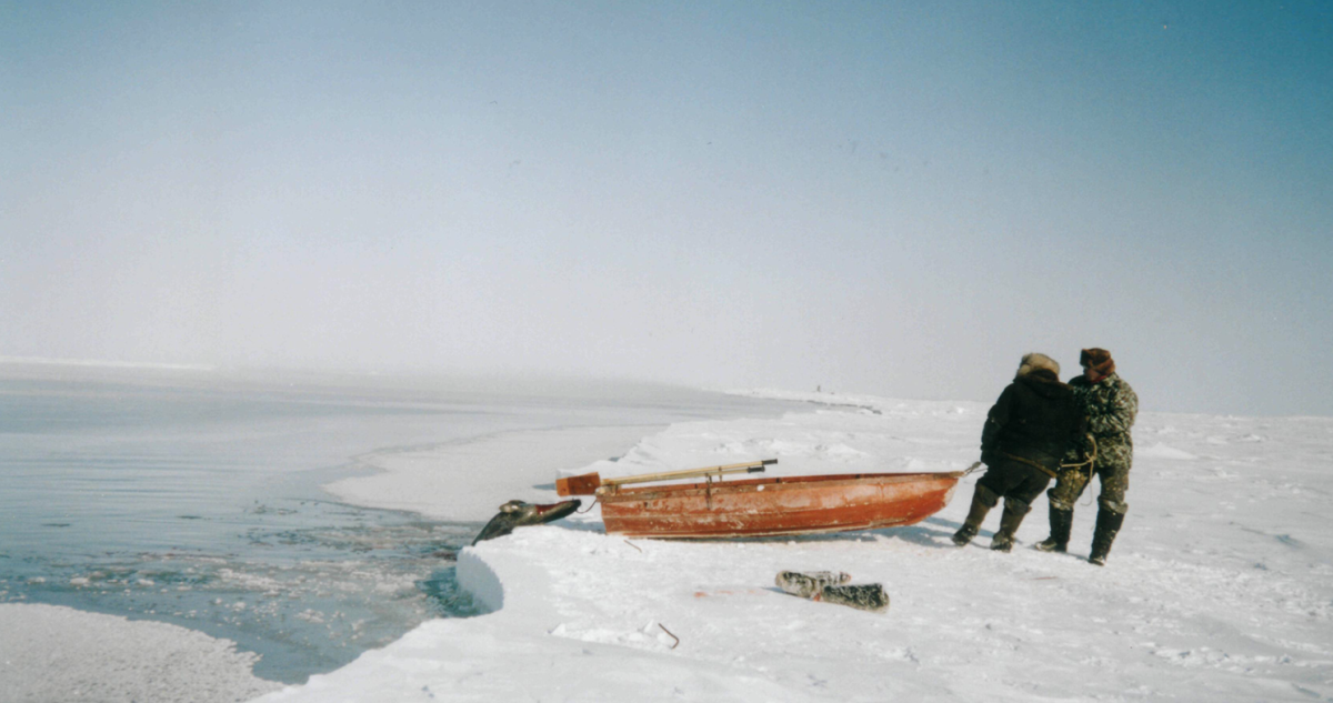 Жизнь Карского моря