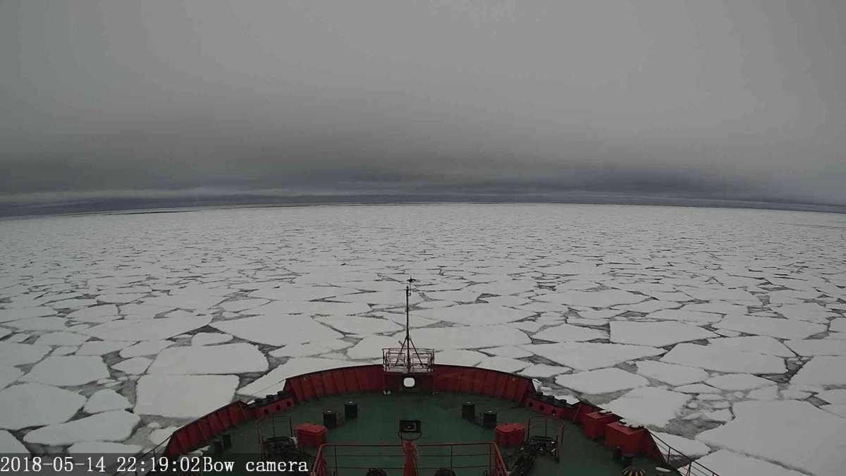 Карское море Обская губа