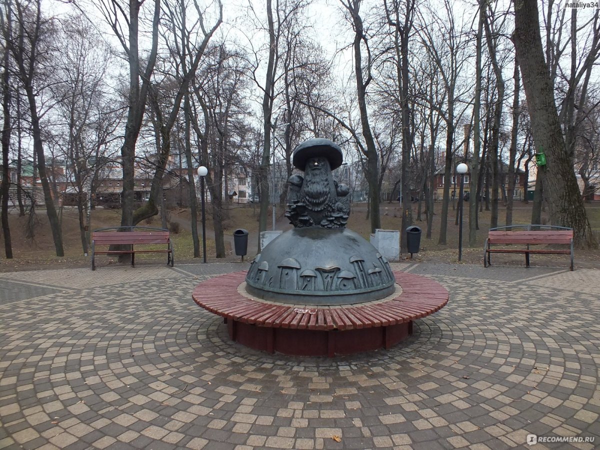 А У нас в Рязани грибы с глазами
