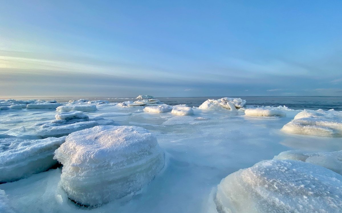 Архангельск белое море лед