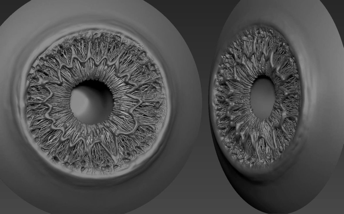 3д референс глаза Zbrush