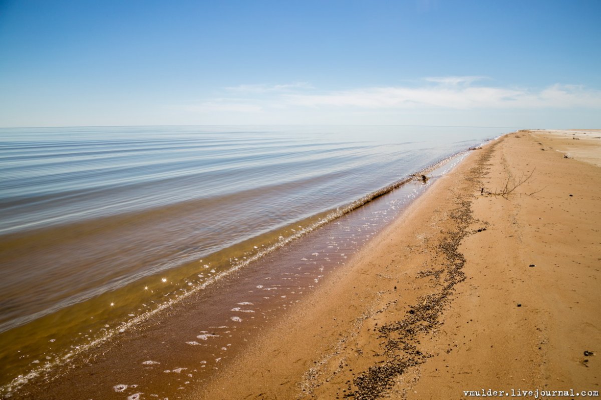 Берег Аральского моря