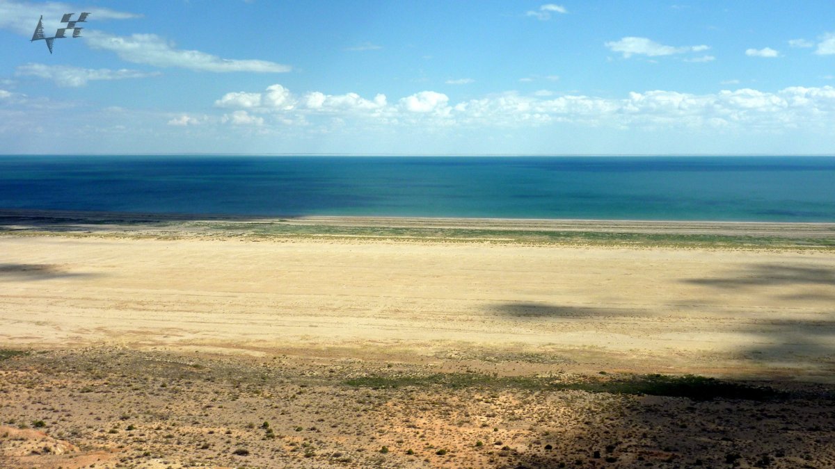 Аральское море пейзажи