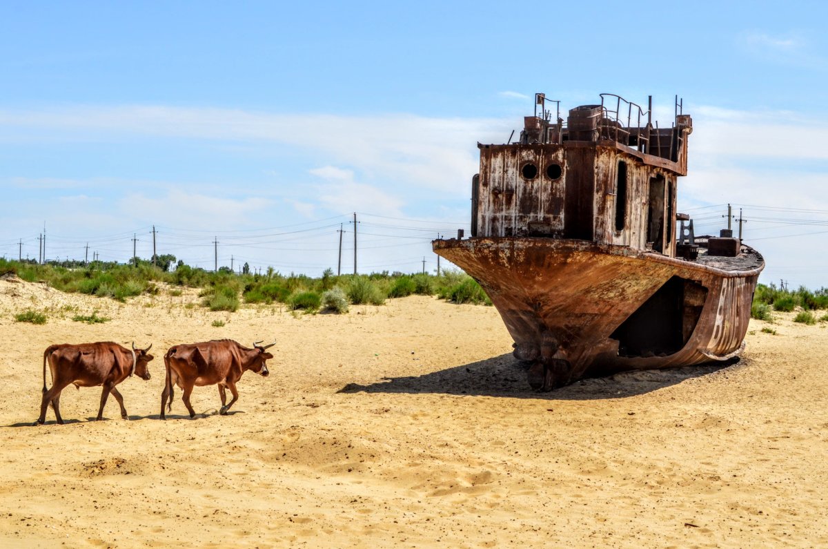 Аральское море Узбекистан