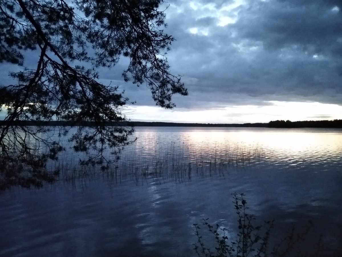 Сезон открытой воды
