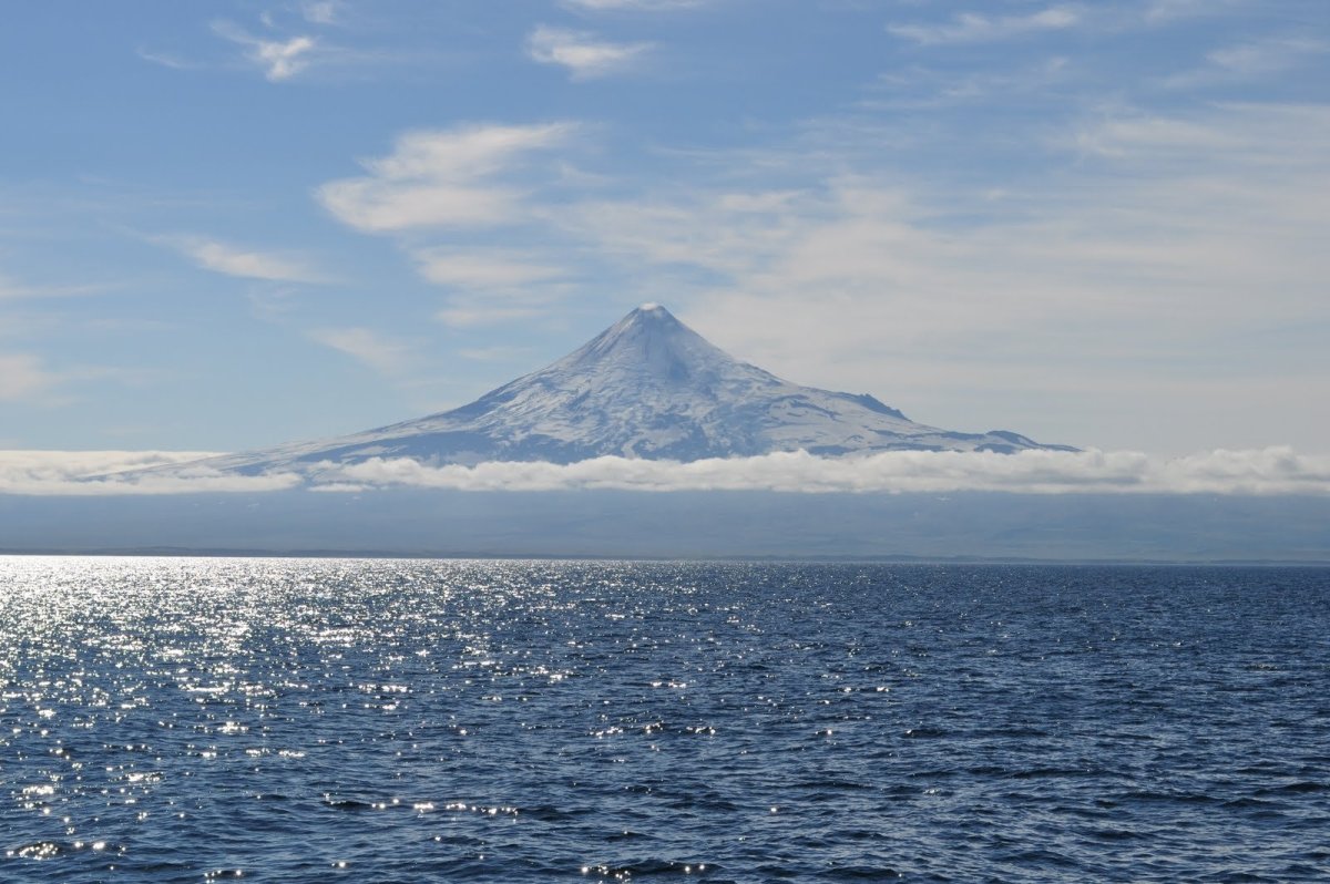 Берингово море Кроноцкий залив