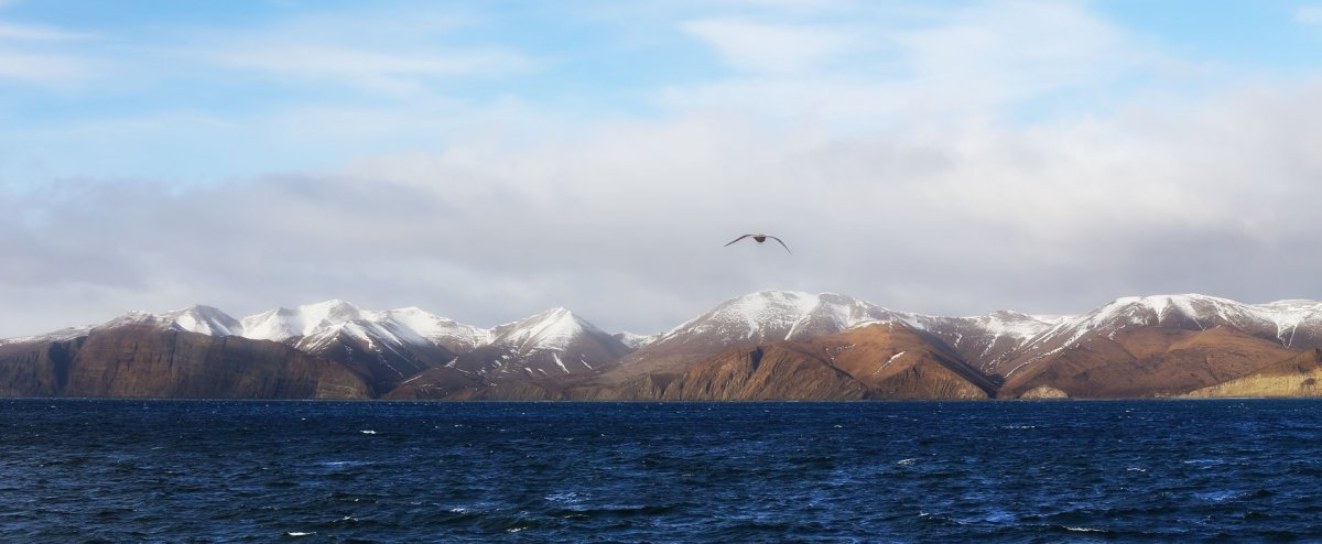 Остров Беринга. Берингово море.