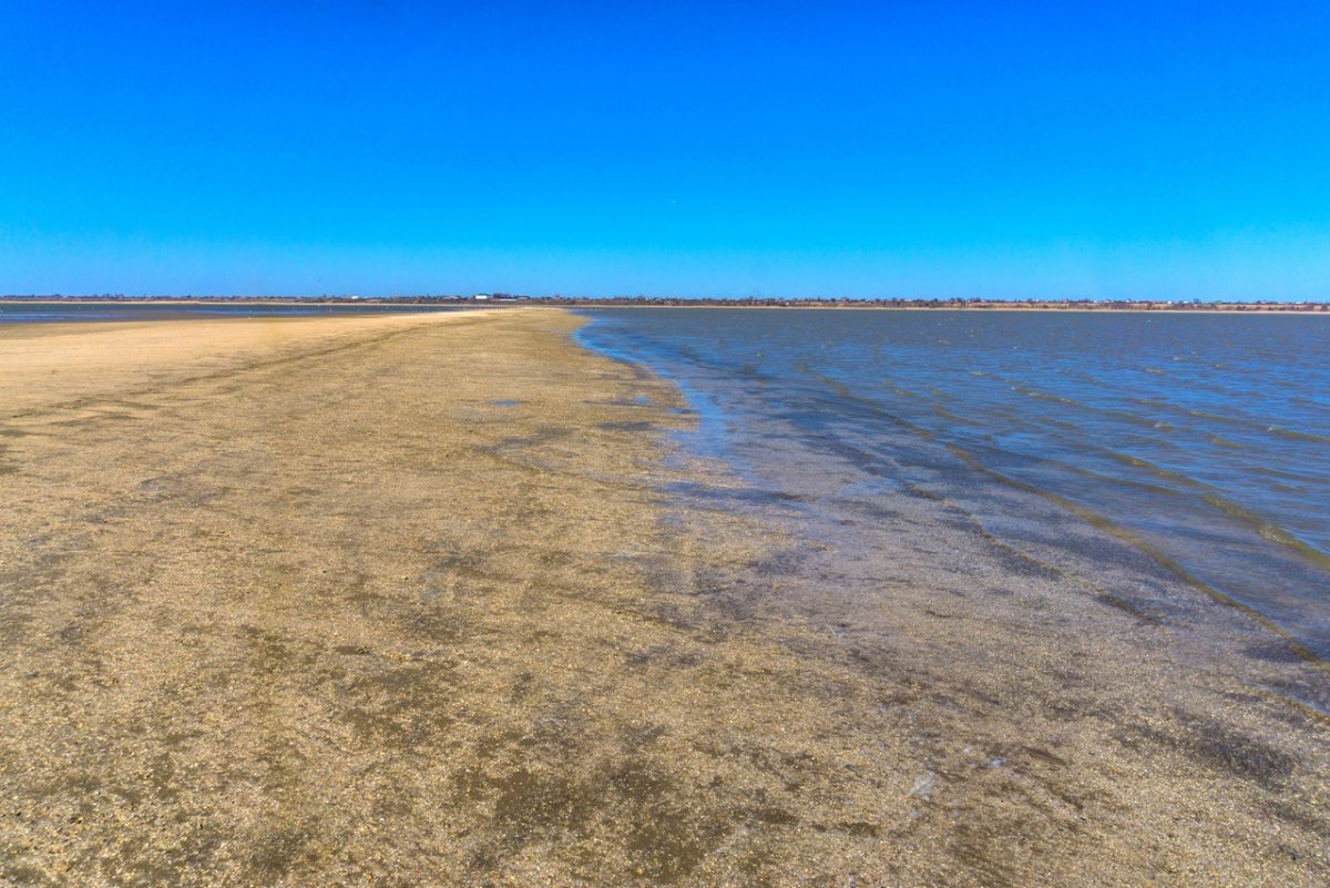 Степь Азовское море