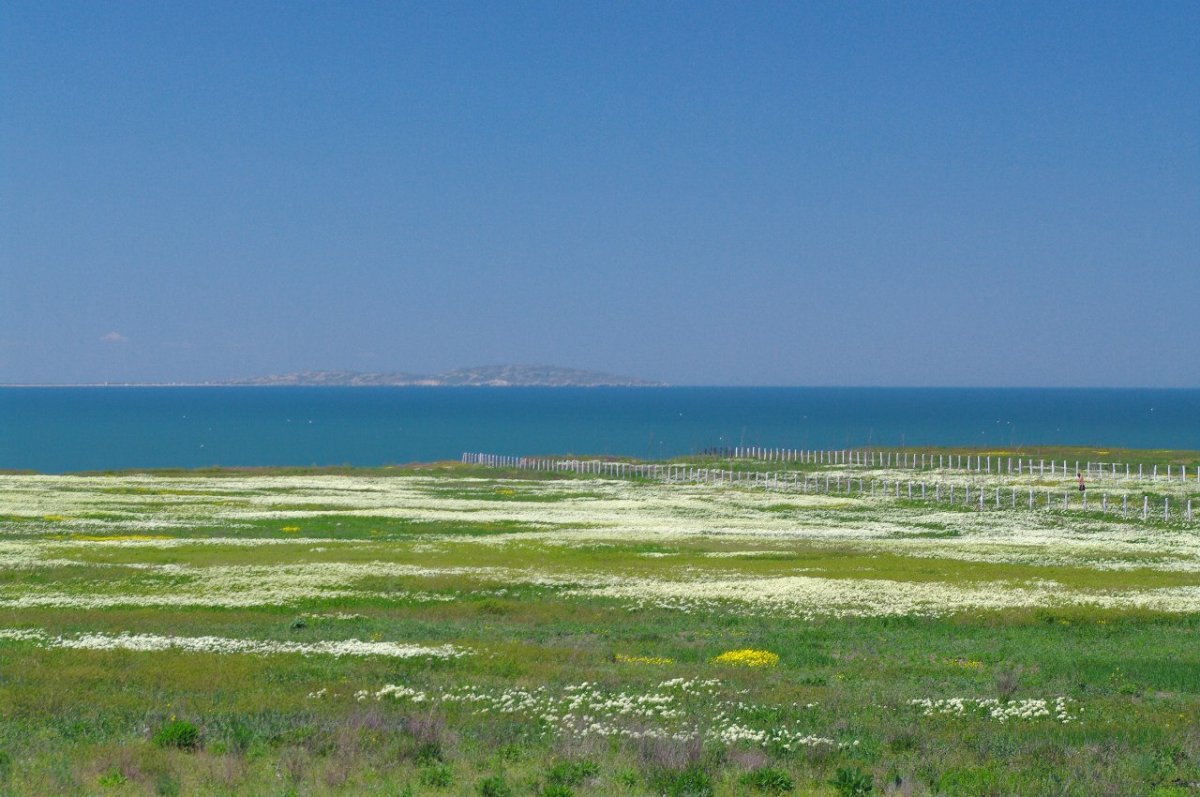 Фото степного Крыма в хорошем качестве вдоль моря