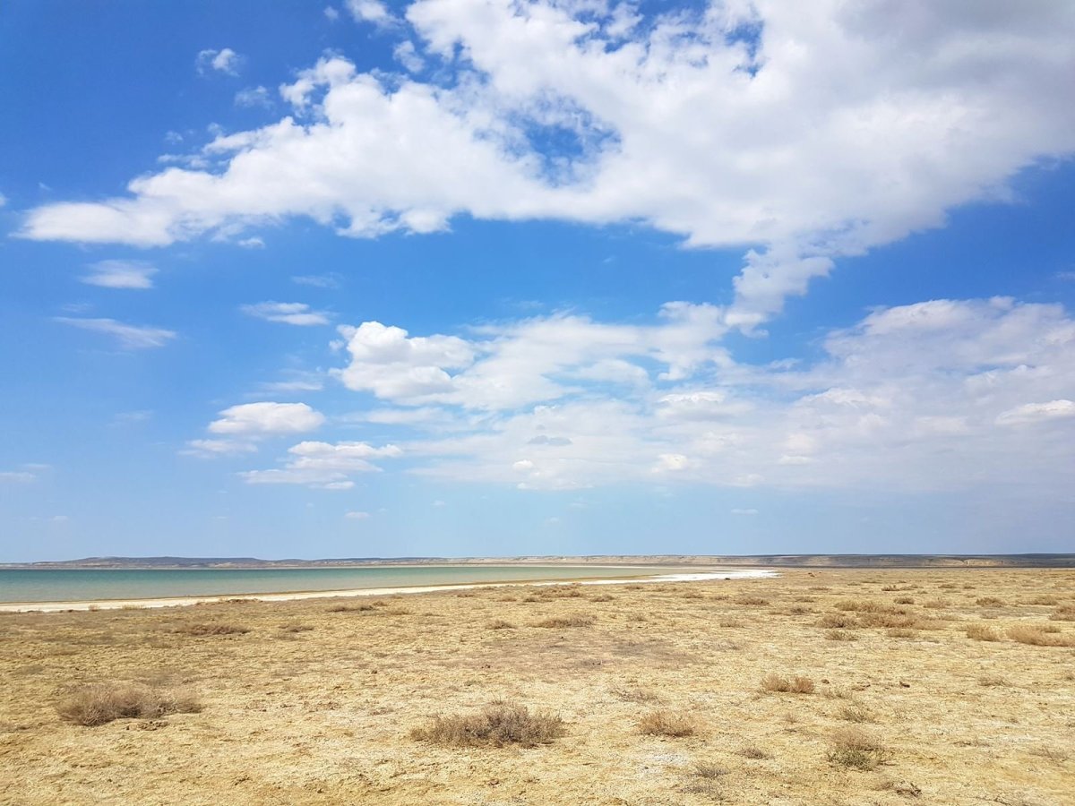 Азовское и Аральское моря