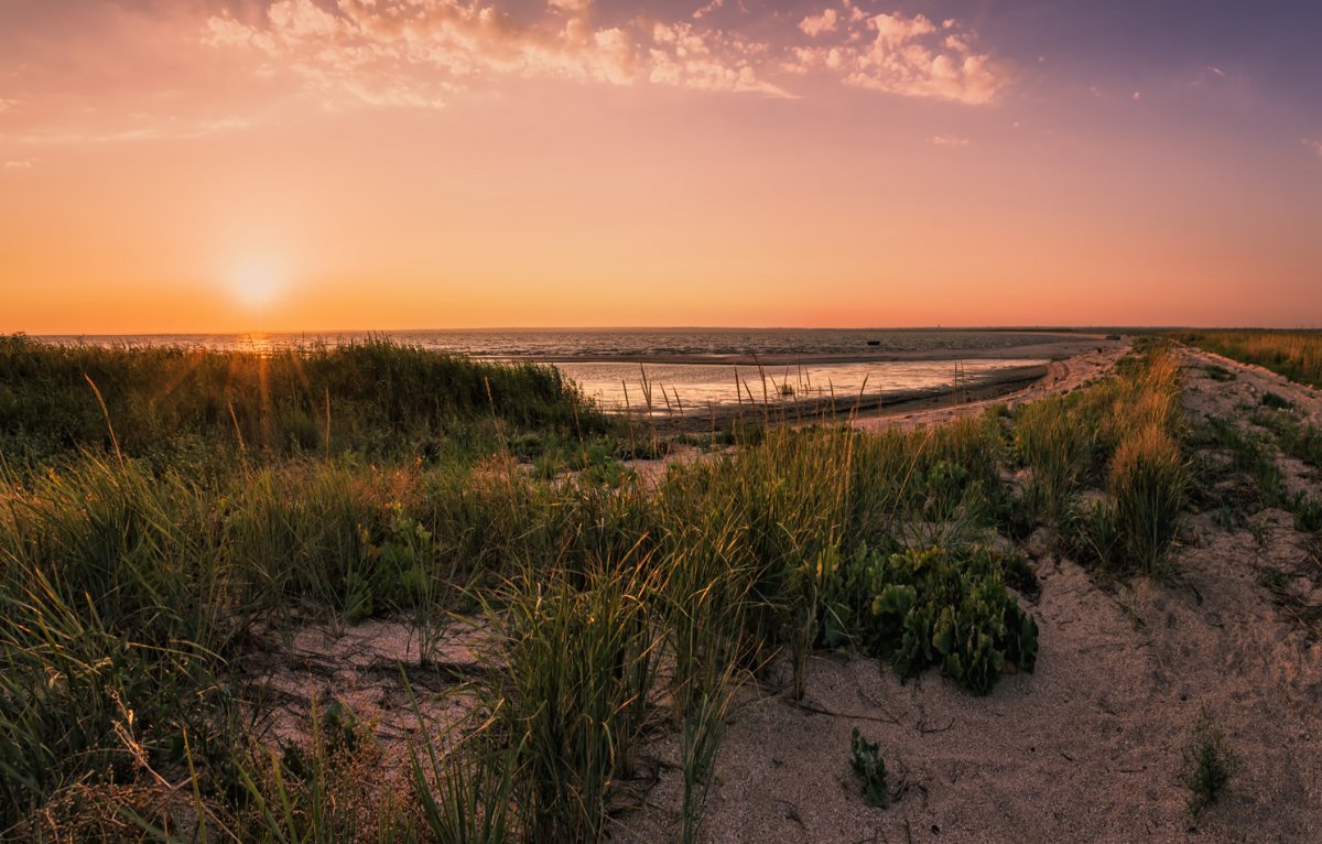 Лиманы Кубани