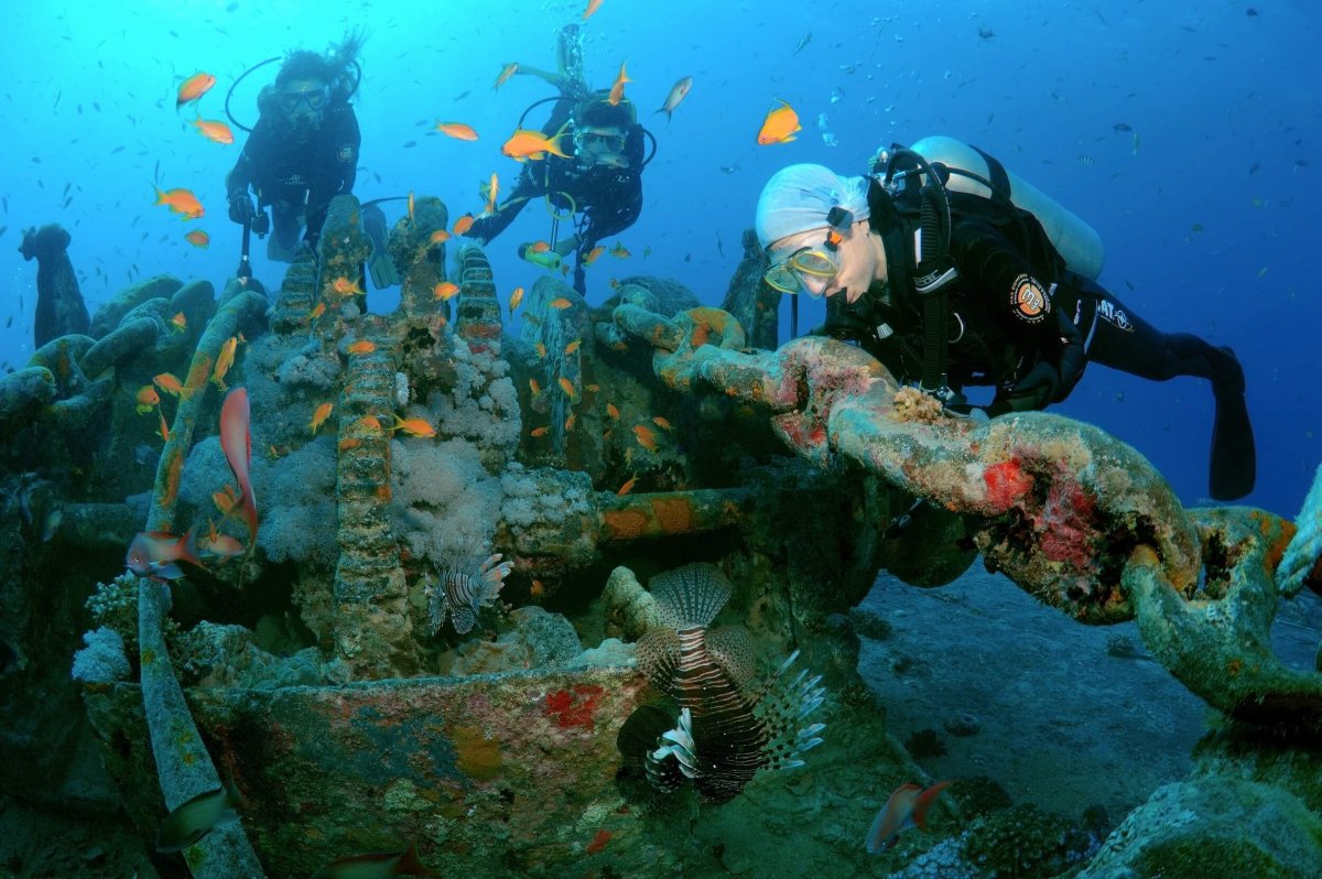 Корабль SS Thistlegorm, красное море