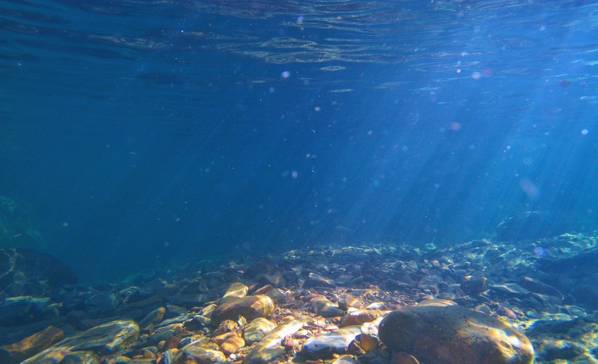 Прозрачное море с рыбами