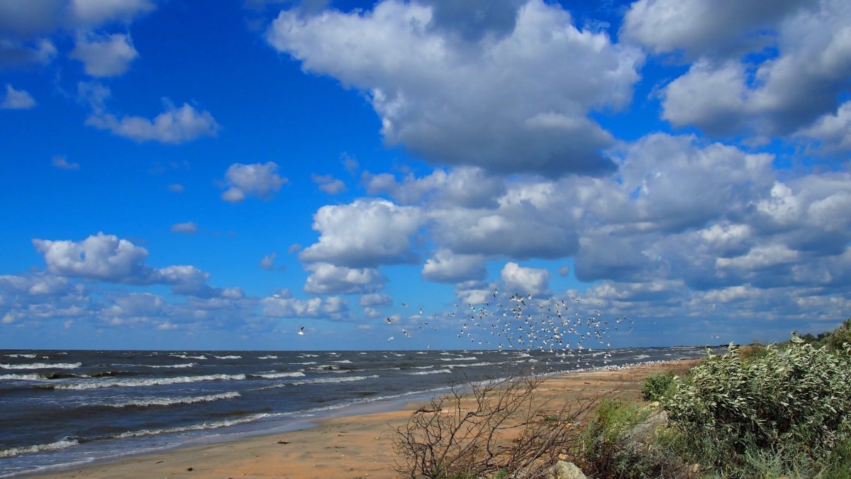 Темрюк черное море