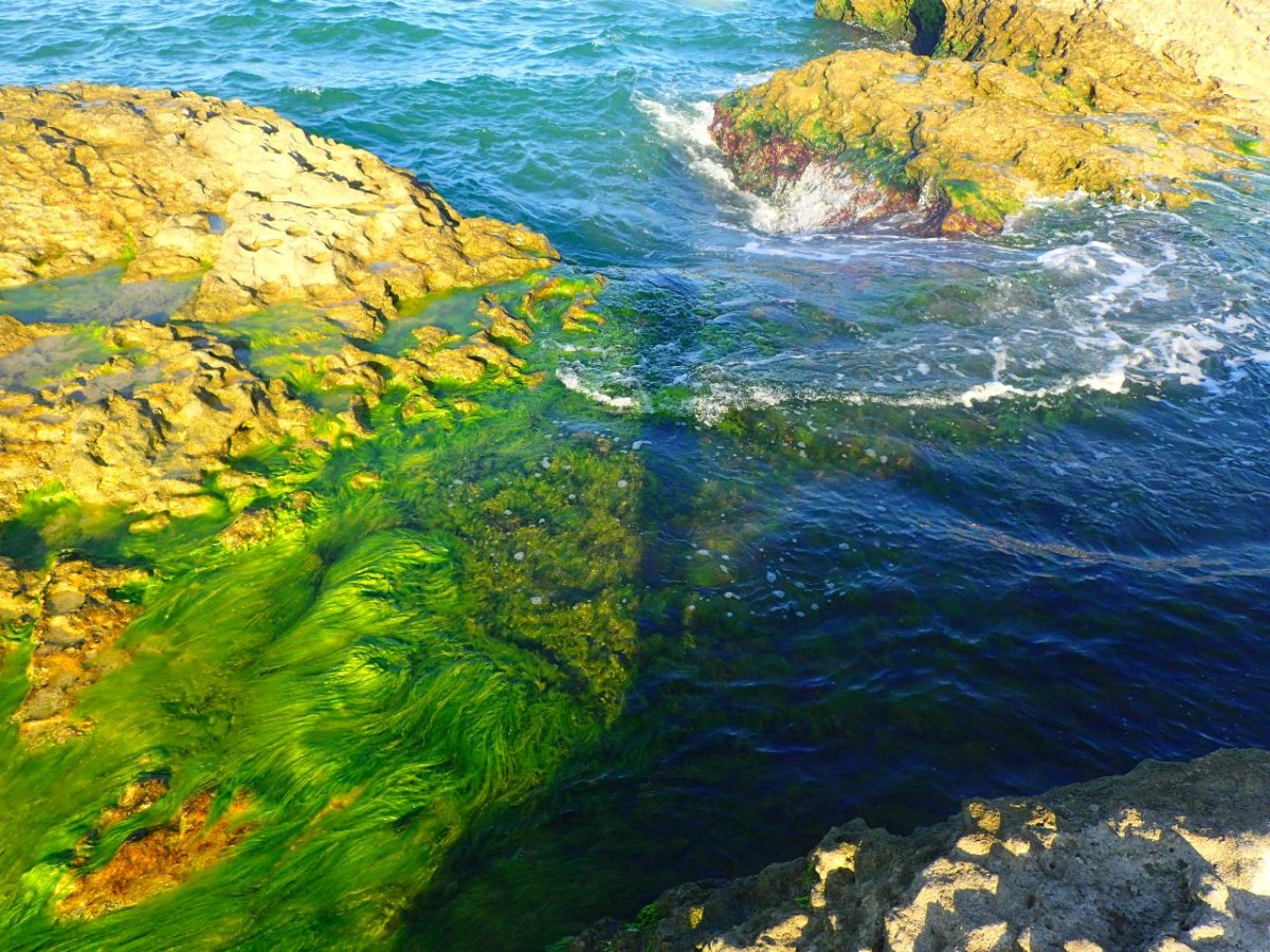 Каспийское море Апшеронский полуостров